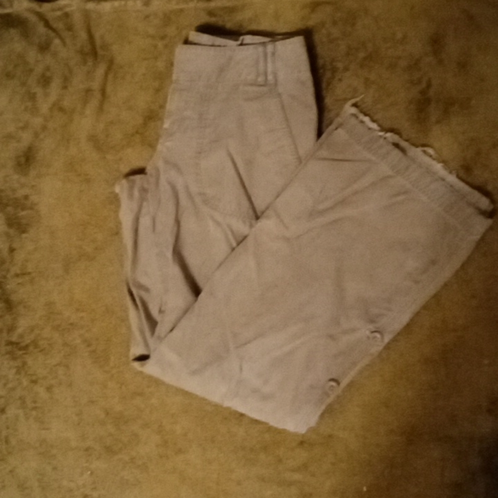 Woman's The North Face Pants Size 2 Regular